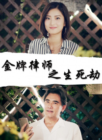 午夜视频1000部免费看