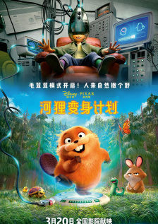 综合一区