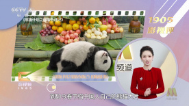 久草资源站